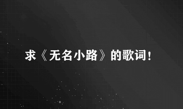 求《无名小路》的歌词！