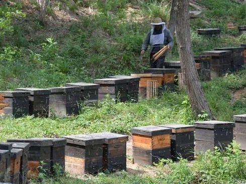 怎样辩认真假蜂蜜有知道吧？谢谢了？