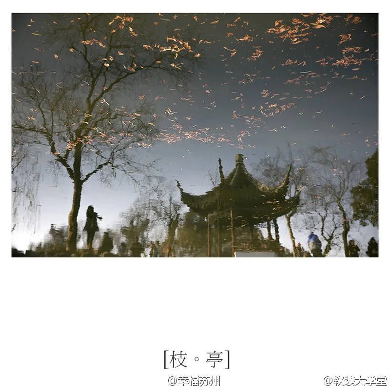 【拙政园-碎片】❤文人，墨客，初冬的拙政园。