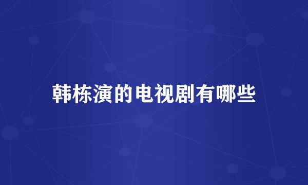 韩栋演的电视剧有哪些