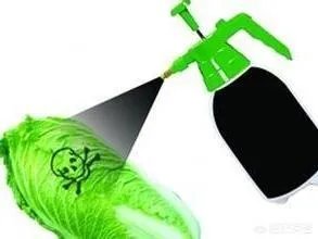 如何识别出甲醛白菜?