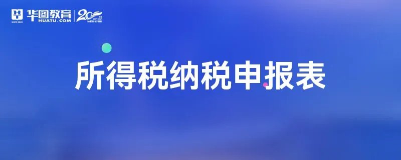 所得税纳税申报表