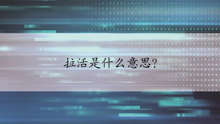 拉活是什么意思？