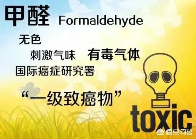 如何识别出甲醛白菜?