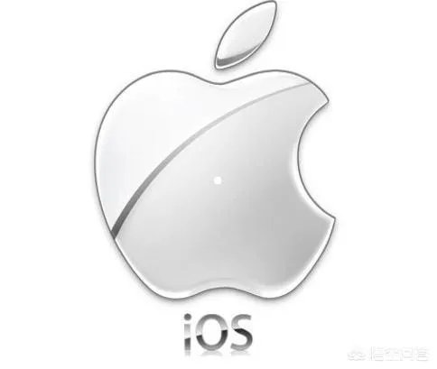 苹果手机市场占有率越来越低，未来有没有可能像高通谷歌一样出卖系统处理器赚钱？