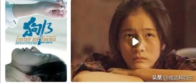 《狗十三》到底讲了什么？