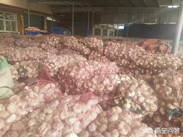 2018年的大蒜到底是会涨价还是会掉价？