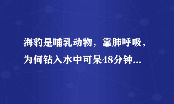 海豹是哺乳动物，靠肺呼吸，为何钻入水中可呆48分钟？（最长据说可达80分钟）