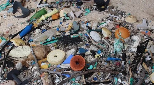 地球上污染最严重的无人岛在哪里？