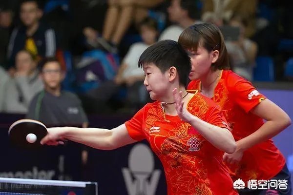 乒球|匈牙利公开赛，国乒能包揽5项冠军吗？