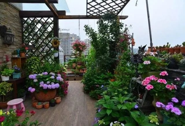 露天做个花园可以这么漂亮，昆明有钱人都这样装，羡慕