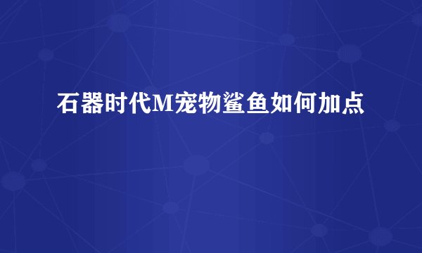 石器时代M宠物鲨鱼如何加点