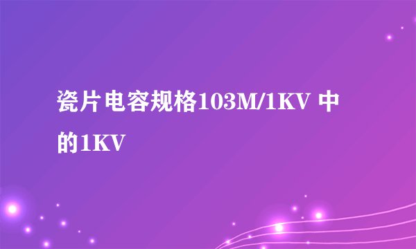 瓷片电容规格103M/1KV 中的1KV