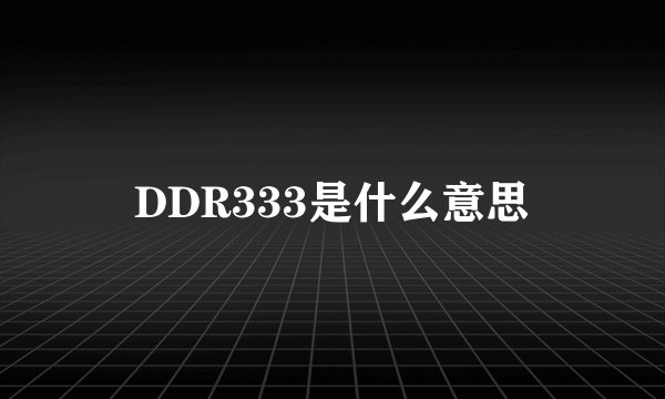 DDR333是什么意思