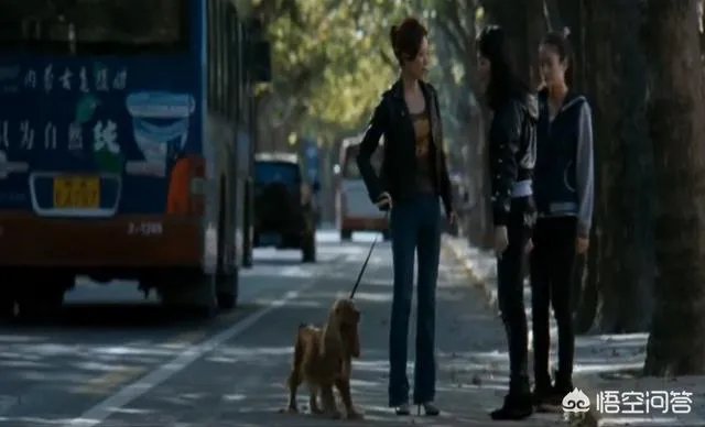 《狗十三》到底讲了什么？