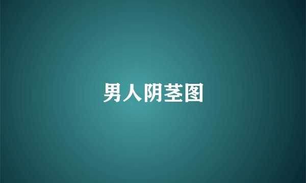 男人阴茎图