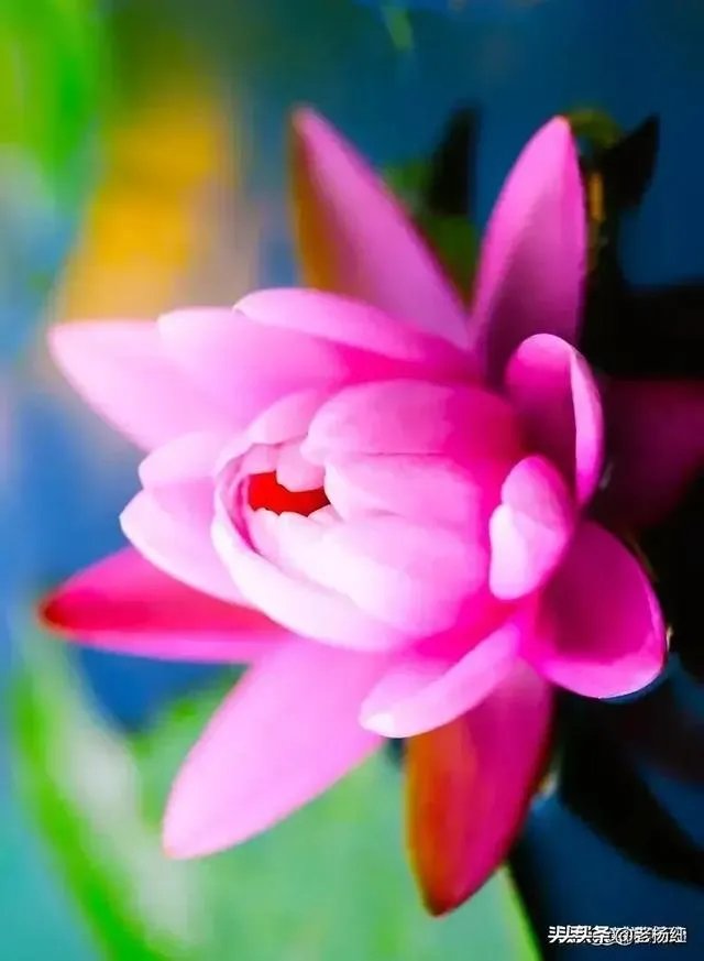 如何干掉领导，自己当领导？