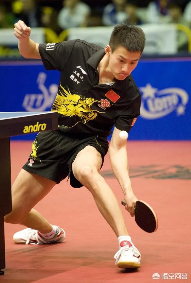 何卓佳VS索尔佳