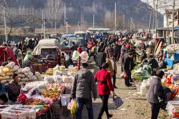 成都市温江区各场镇的赶集时间是什么时间？