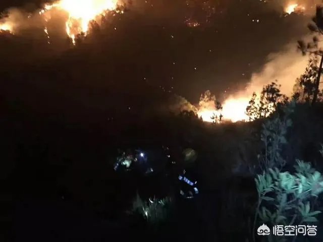 珠海凤凰山景区环境怎么样？值得一游吗？