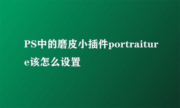 PS中的磨皮小插件portraiture该怎么设置