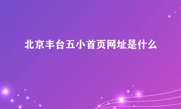 北京丰台五小首页网址是什么