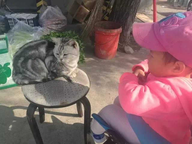 前央视名嘴郎永淳因醉驾被拘，你怎么看？