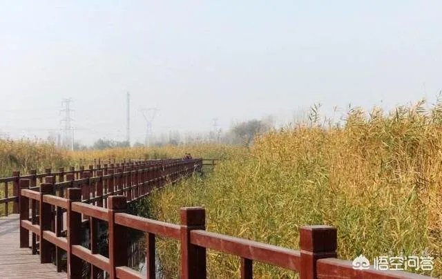 河北胜芳都有哪些景点？胜芳古镇好不好玩？