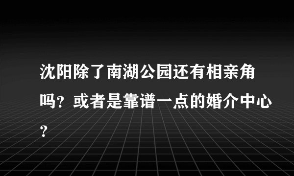 沈阳除了南湖公园还有相亲角吗？或者是靠谱一点的婚介中心？