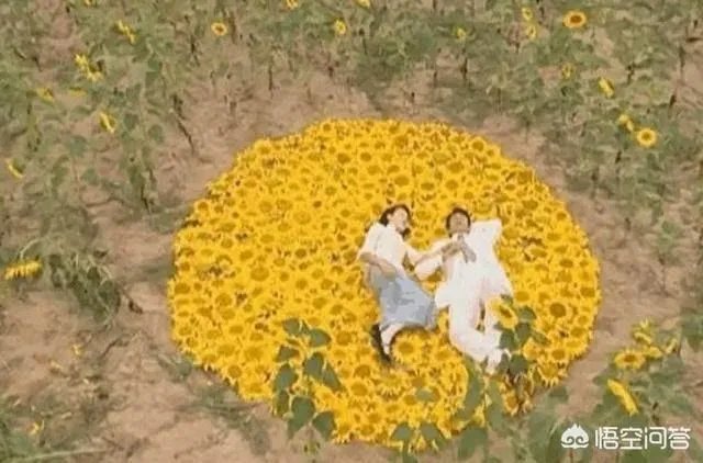 《金粉世家》重播，剧中的哪个角色让你至今难以忘怀？