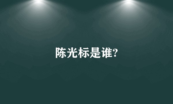 陈光标是谁?