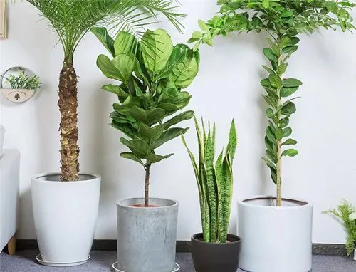 臭氧可以除甲醛吗