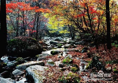 关门山旅游攻略