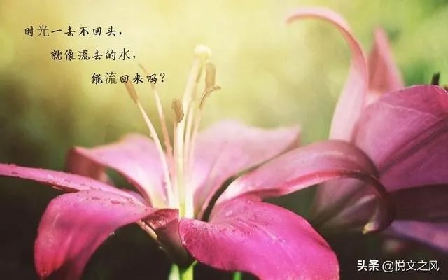 父母，夫妻，儿女，你能说出那一层关糸更亲，为什么？