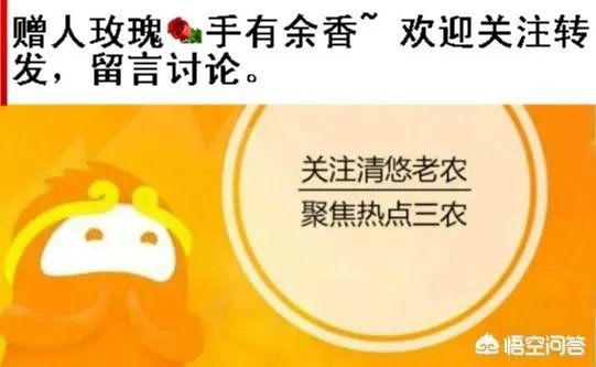 艾草是野生的好还是种植的好?