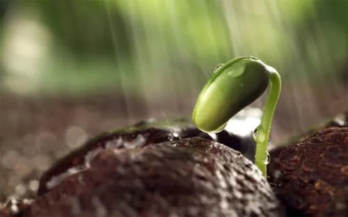 安徽女生高考后跳楼，为何那一瞬间，很多人不敢看？