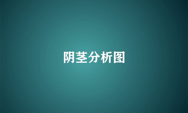阴茎分析图