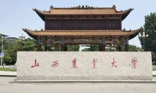 500多分的一本大学有哪些