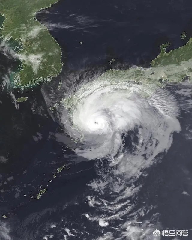 为什么感觉不少人都说今年最强台风是范斯高呢?难道蝴蝶不是最强的吗?