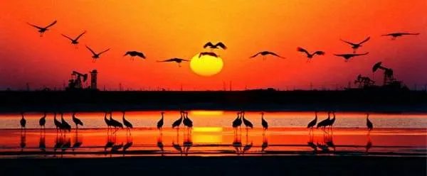 黄河口自然保护区门票多少钱