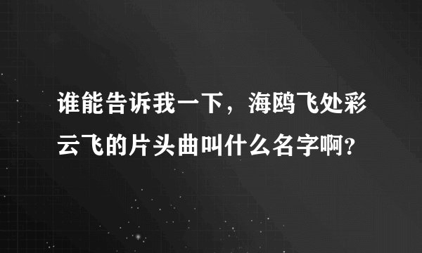 谁能告诉我一下，海鸥飞处彩云飞的片头曲叫什么名字啊？