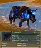 《圣域2 堕落天使》特殊坐骑详细流程攻略