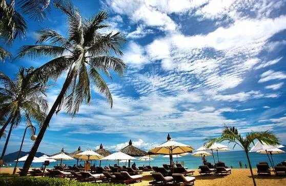 三伏天2020时间表  今年三伏天具体时间