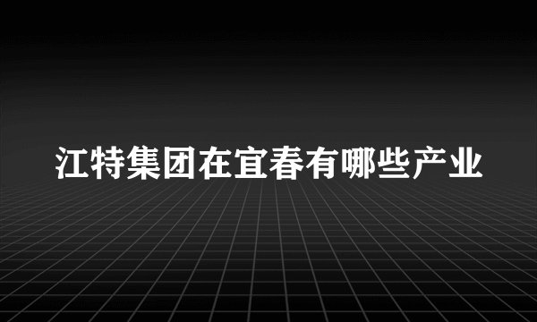 江特集团在宜春有哪些产业
