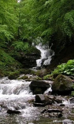 谁手机里有美女美景图片，能不能分享让大家看看？