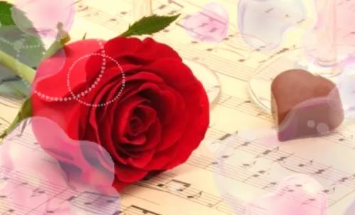 情人节送花送什么 第一次送花说些什么好呢