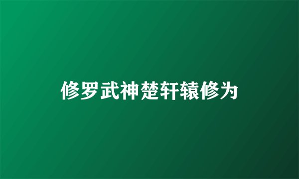 修罗武神楚轩辕修为