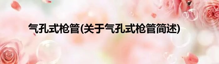 气孔式枪管(关于气孔式枪管简述)