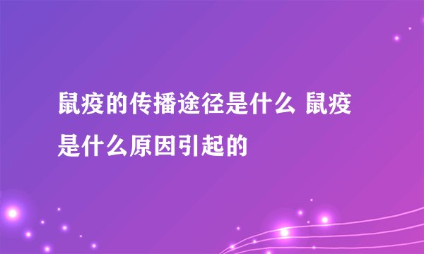 鼠疫的传播途径是什么 鼠疫是什么原因引起的