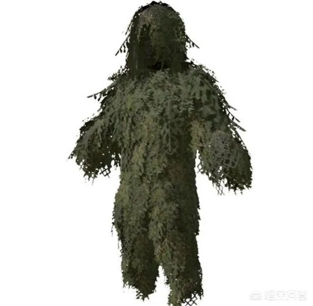 动物中，有没有我们从没见过的伪装术？